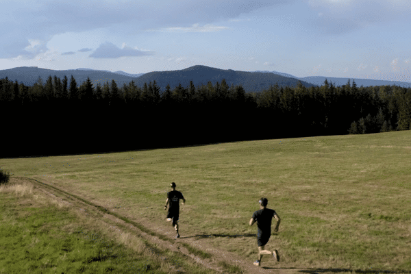 Les coureurs du Trail Alsace Grand Est by UTMB