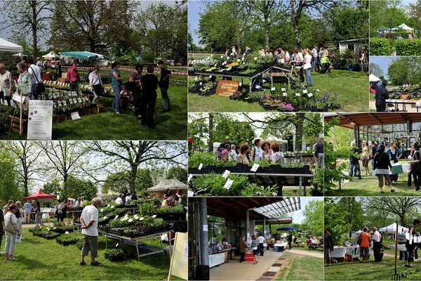 Plantes en Fête