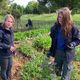 Chloé Moulis, encadrante de la micro-ferme et Anne-Lise Drouet, salariée, s'affairent parmi les plants d'ail et de fraises.