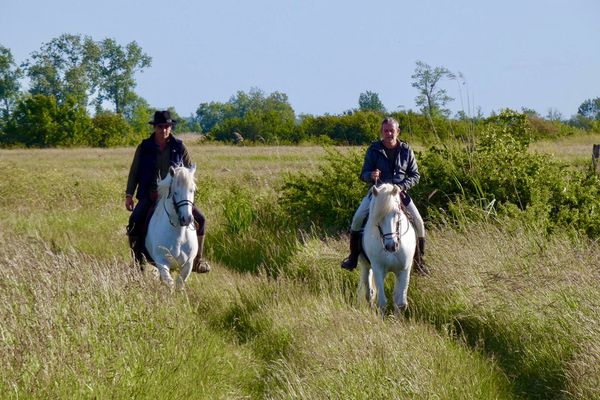 ballade à cheval dans le marais de Brouage