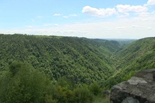 La vallée de la Dordogne constitue un couloir naturel par lequel le loup pourrait arriver en Limousin.