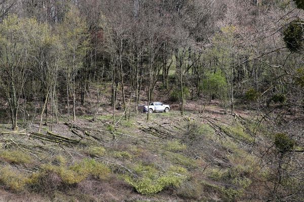 Une partie de cette parcelle située Issancourt-et-Rumel est déforestée pour tenter de retrouver le corps d'Estelle Mouzin.