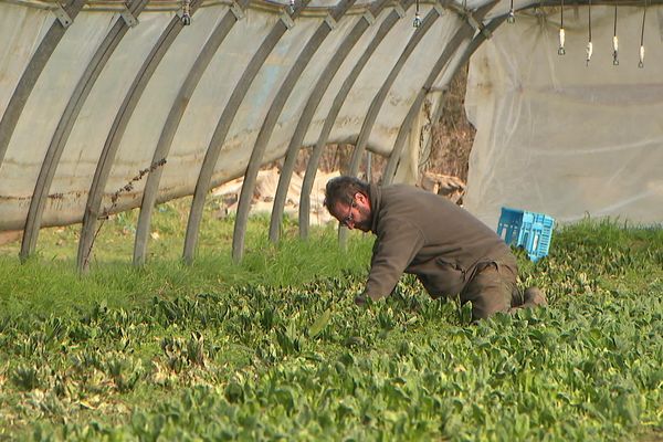 Le plan Ecophyto doit permettre de réduire l'usage de produits phytopharmaceutiques en France par deux, d’ici à 2030.