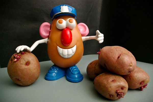 Une patate en météorologie désigne une très grande zone de hautes pressions.