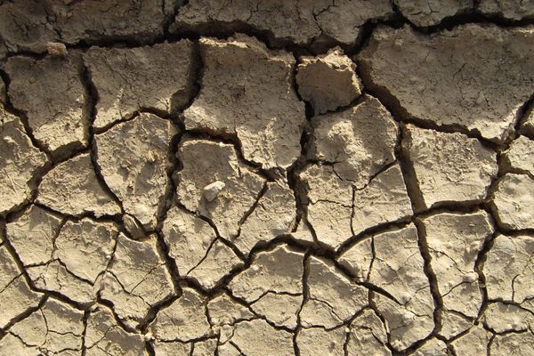 L'alerte sécheresse est déclarée pour toute la Métropole de Lyon et le département du Rhône, depuis le vendredi 5 avril. Photo d'illustration.