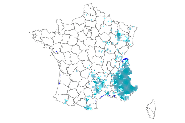 Carte 2019 de la présence du loup en France.