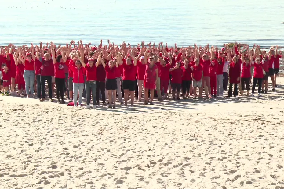 "Il faut 600 poches de sang chaque jour en Bretagne", une goutte...