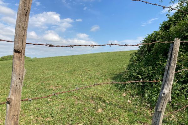 Affaire de maltraitance animale à Chamboulive en Corrèze - 04/05/23 -