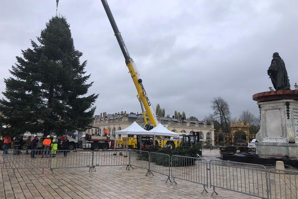 Installation du sapin de Noël au centre de la place Stanislas, à Nancy (Meurthe-et-Moselle).