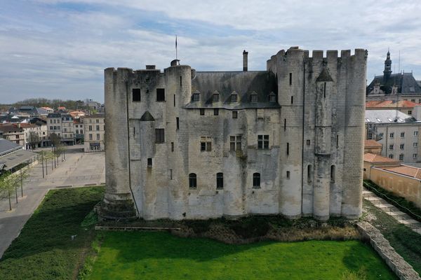 Le donjon de Niort