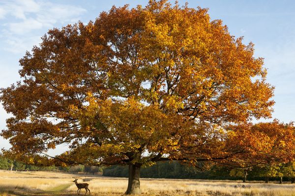 La Loire-Atlantique, département le plus écologique de France, selon l'hebdomadaire La Vie