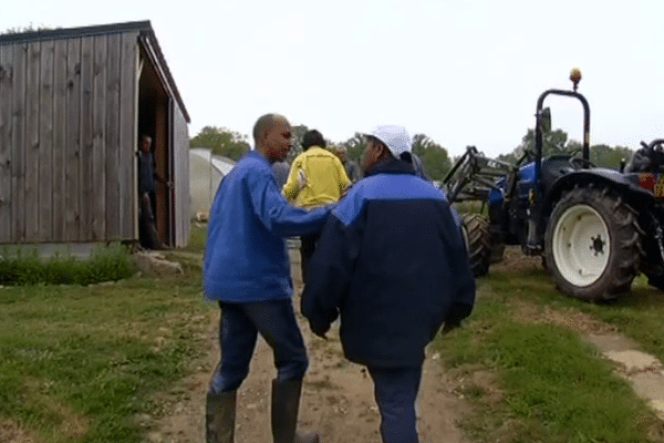 Les bénévoles du jardin cultivent surtout, ou d'abord, la remise en chemin d'adultes en difficulté de vie personnelle ou sociale.