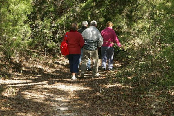 Les balades dans les bois sont désormais interdites dans le Territoire de Belfort.