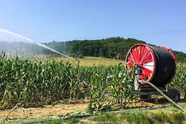 Le gouvernement a présenté une vingtaine de mesures pour diminuer la consommation en eau en France.