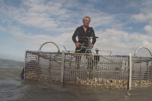 Rona Le Corre, pêcheur de tellines à Tréguennec, dans la baie d'Audierne (29)