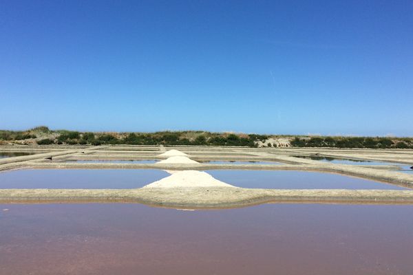 Les marais salants de Guérande le 16 juin 2017