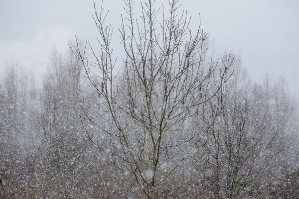 Les premiers flocons sont arrivés en île-de-France mais de façon moins importante que prévu.