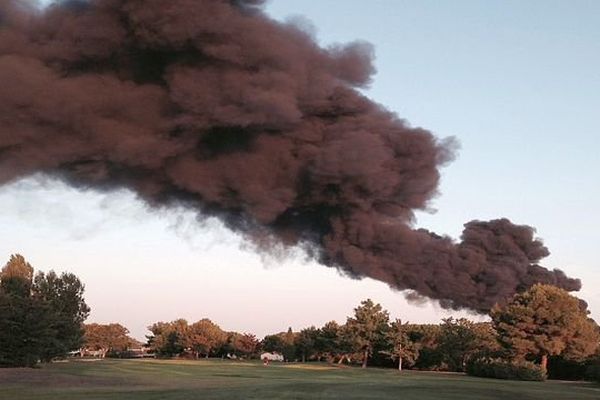 Mudaison (Hérault) - incendie de palettes à la SICA fruitière des Vergers de Mauguio- 12 août 2015.