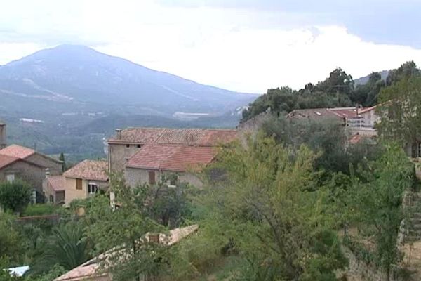 Le village de Vero, en Corse-du-Sud, fait figure de bon élève en matière de débroussaillage. Cette année, 90% de ses parcelles ont été nettoyées avant le 30 juin.