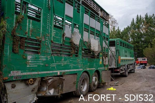 L'intervention des pompiers du Gers a permis de remettre le camion de transport de bétail sur ses roues : 3 vaches ont péri dans l'accident