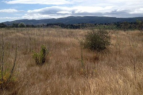 Capendu (Aude) - le site de 200 hectares où doit être construit le futur complexe touristique - 8 juillet 2015.