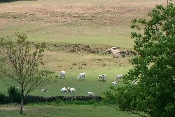 Un champ proche de Châtillon-en-Bazois (archives 2011)