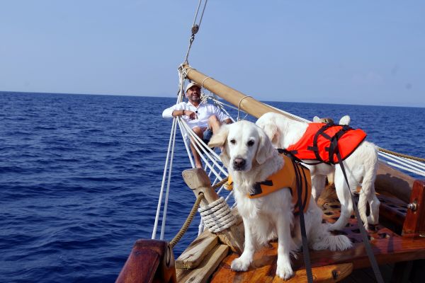 Franck Menestret, Muffin et Praline découvrent le sanctuaire Pelagos.