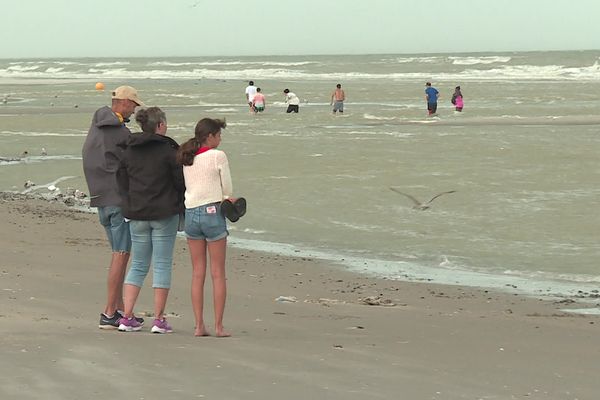 La baignade est à nouveau autorisée depuis le 9 septembre en baie de Somme