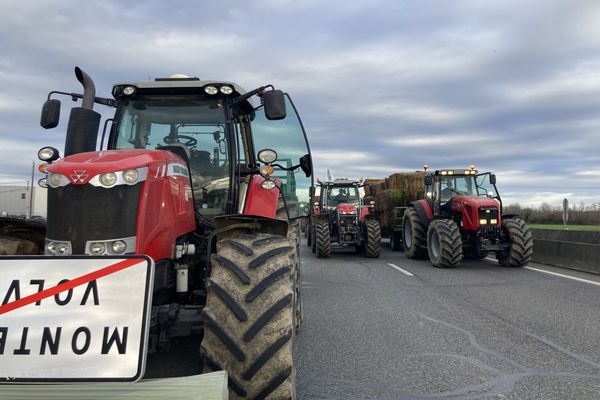 Les agriculteurs bloquent l'A64 au niveau de Carbonne depuis jeudi 18 janvier pour dénoncer la dégradation de leurs revenus.