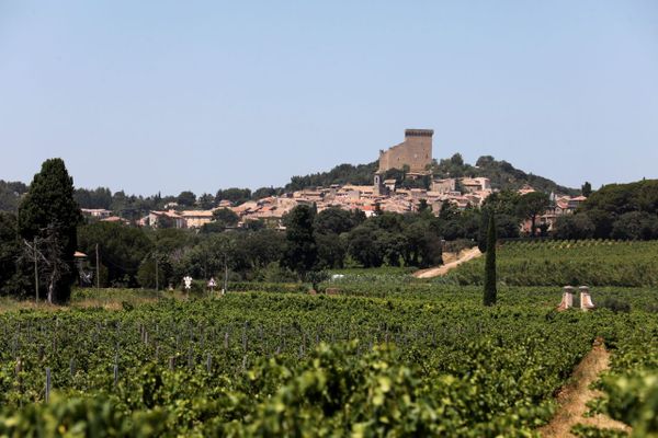 Comme l'ensemble de la filière, les vins de Chateauneuf-du-Pape sont confrontés à un contexte difficile qui impacte les ventes depuis plusieurs années.