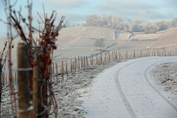 Le gel et la neige, la hantise des viticulteurs.