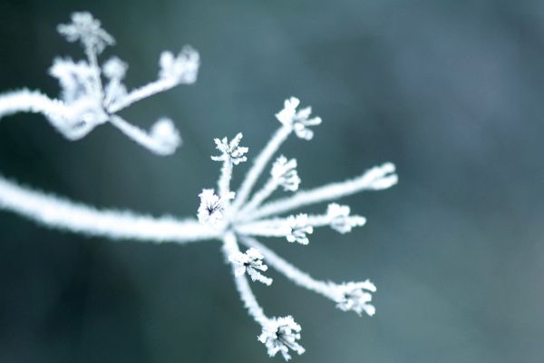 Une blanche matinée dans notre région