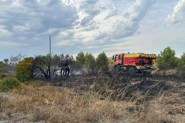Fabrègues (Hérault) - un feu ravage 10 hectares de garrigue et mobilise plus de 150 pompiers, 4 Canadair et un Dash - 2 août 2024.