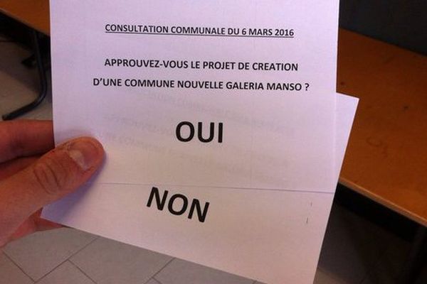 Les électeurs sont invités à répondre à une question : "Approuvez vous le projet de création d'une commune nouvelle Galeria Manso ?"