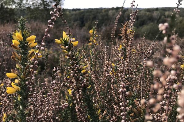 14 zones Natura 2000 se répartissent dans le Parc Naturel Millevaches.