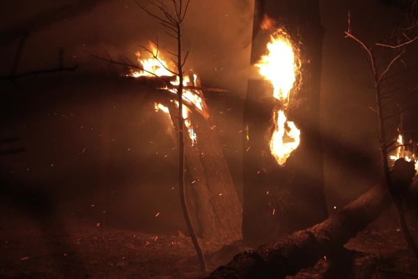 "Mégafeux : un été au combat", émission spéciale sur France 3 Nouvelle Aquitaine - lundi 7 novembre à 21h