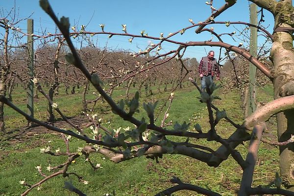 Olivier Fricher arboriculteur dans la commune de Aubry-du-Hainaut.