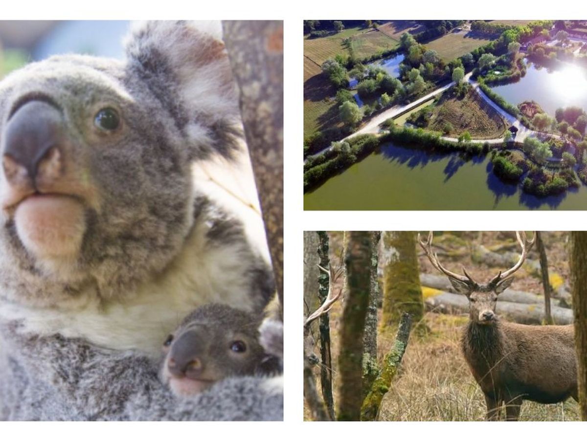 3 Parcs Animaliers A Decouvrir En Centre Val De Loire