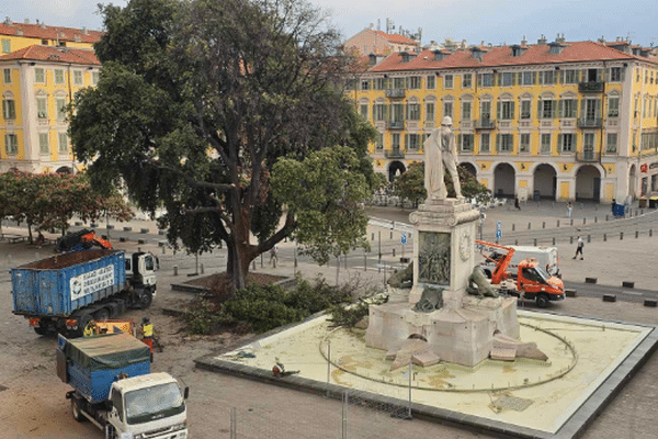 En 155 de vie, cet arbre a accompagné des générations de Niçois.