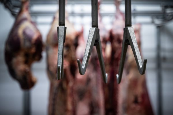 L'abattoir de Boulogne-sur-Gesse en Haute-Garonne est contraint de suspendre son activité pour des questions de mise aux normes en matière d'hygiène.