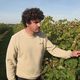 Guillaume Duluc, viticulteur basé à Touzac en Charente, s'inquiète face à l'arrivée de cette taxe chinoise.