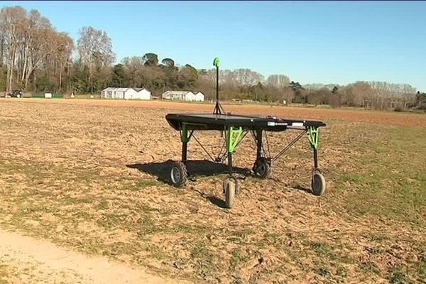 L'Occitanie est en pointe en matière de recherche agronomique et d'innovations techniques agricoles. A Montpellier, à l'Irstea, on prépare l'agriculture de demain. des innovations présentées cette semaine au salon international de l'agriculture.