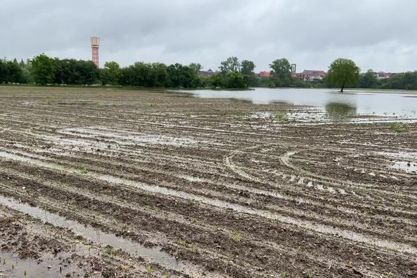 Un champ inondé à Forstfeld le 21 mai