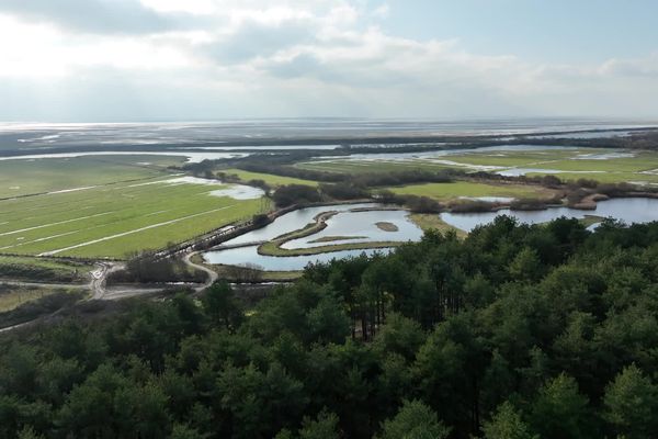 Le prévisions météo du jeudi 8 août 2024 dans les Hauts-de-France.