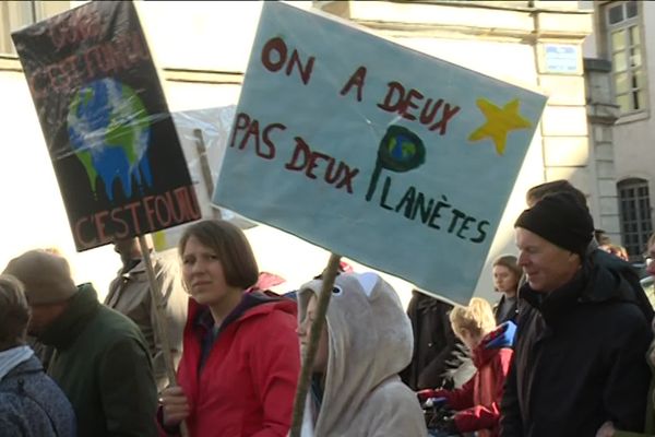 Manifestation pour le climat en mars 2019 à Dijon.