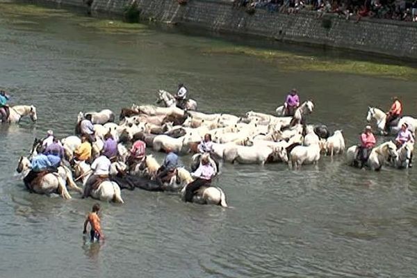 Sommières (Gard) - la tradition de la Gaze camarguaise respectée - 14 juillet 2016.