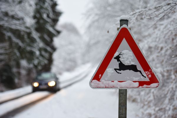 Il a déjà neigé plusieurs fois dans les Ardennes cet hiver (photo janvier 2021)