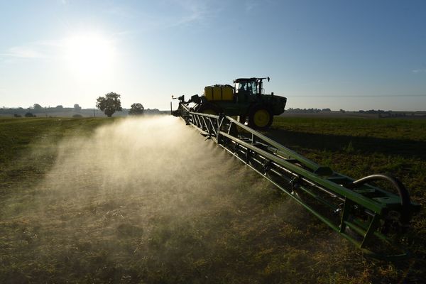 L'objectif de sortir du glyphosate au 1er janvier 2021 ne sera pas facile, les rapporteurs recommandent un délai supplémentaire pour l’agriculture de conservation des sols.