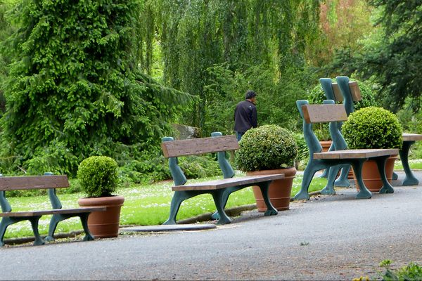 La perspective de bancs Claude Ponti, l'invité du jardin des plantes