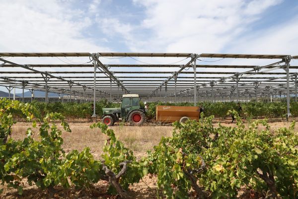 Les projets d'agrivoltaïsme, alliant panneaux photovoltaïques et agriculture, sont de plus en plus nombreux. Mais ils divisent fortement.